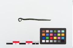 Foto von Bronzerollenkopfnadel (NHMW-PRAE-024301)